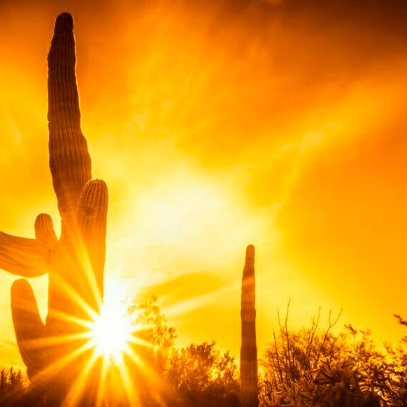 Beat the Summer Heat with These Fun Activities!