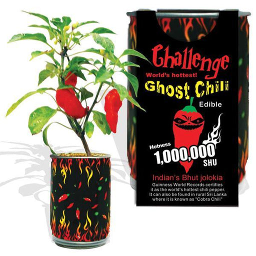 Ghost Chili Pepper Growing Kit - Desert Gatherings