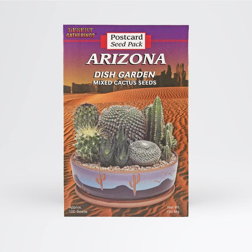 Mixed Cactus Dish Garden Postcard - Desert Gatherings