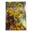 Desert Brittlebush Seed Packet - Desert Gatherings