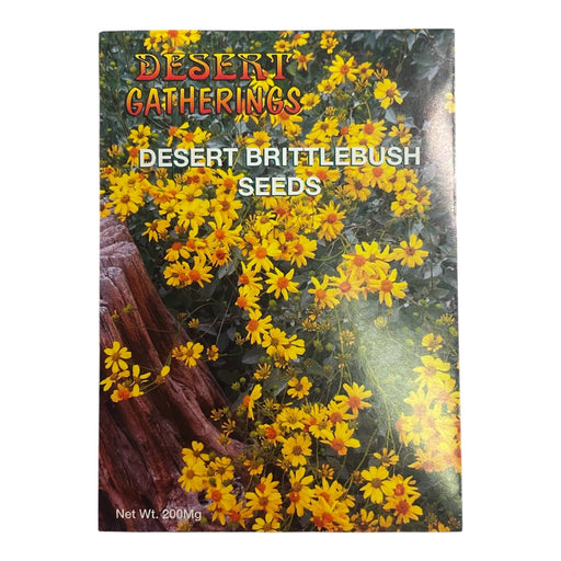 Desert Brittlebush Seed Packet - Desert Gatherings