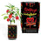 Carolina Reaper Pepper Growing Kit Wholesale - Desert Gatherings