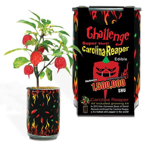 Carolina Reaper Pepper Growing Kit Wholesale - Desert Gatherings
