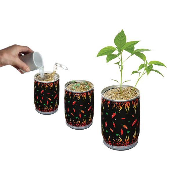 Carolina Reaper Pepper Growing Kit Wholesale - Desert Gatherings