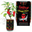 Ghost Chili Pepper Growing Kit Wholesale - Desert Gatherings