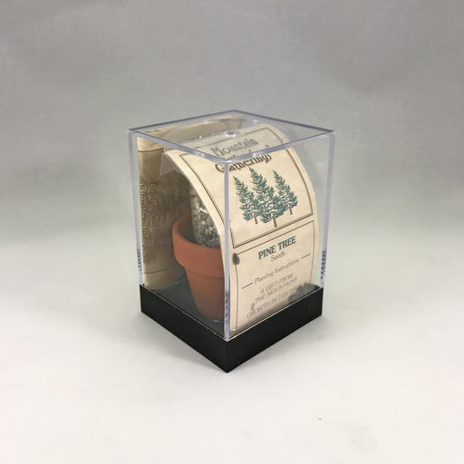 Pine Tree Incubator Wholesale - Desert Gatherings
