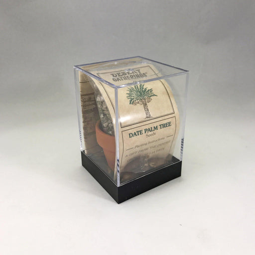 Palm Tree Incubator - Desert Gatherings