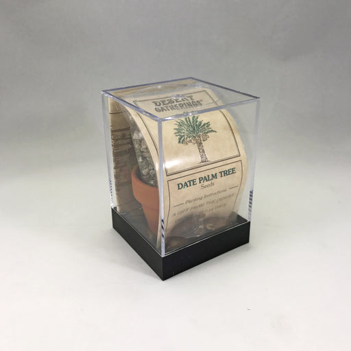 Palm Tree Incubator Wholesale - Desert Gatherings