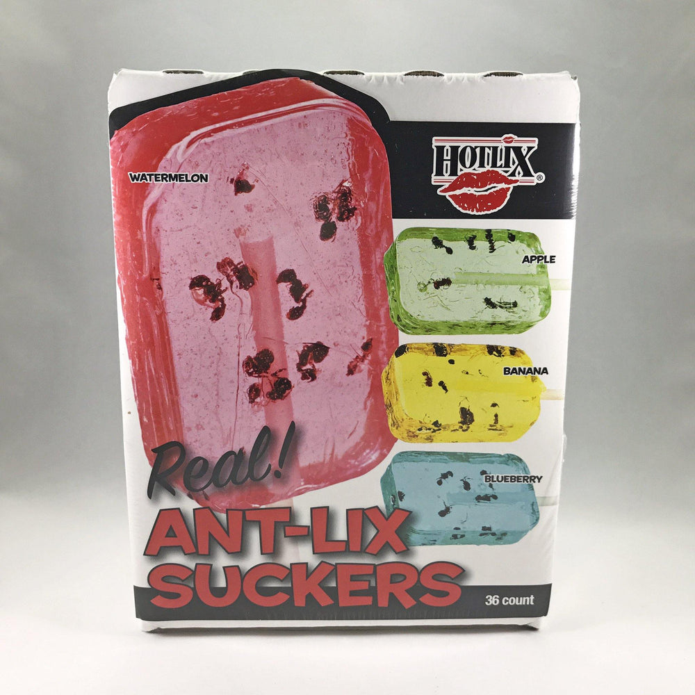 Ant-Lix Candy Lollipops Wholesale - Desert Gatherings