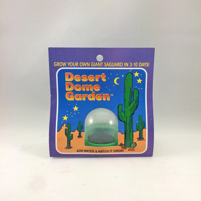 Saguaro Dome Garden - Desert Gatherings