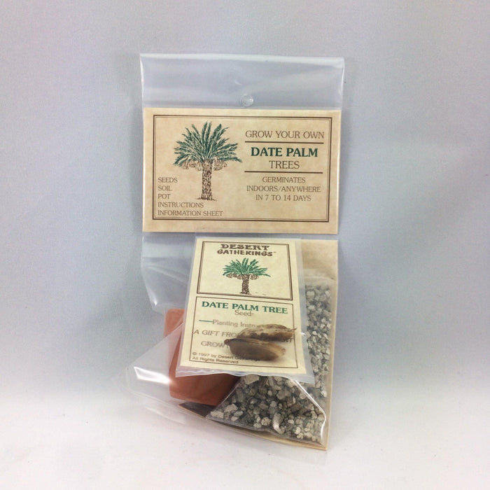 Date Palm Kit Wholesale - Desert Gatherings