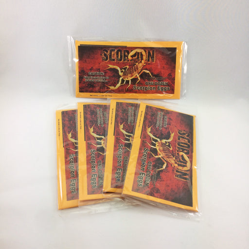 Scorpion Eggs Package Wholesale - Desert Gatherings