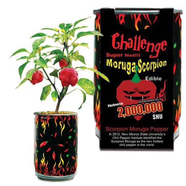 Moruga Scorpion Pepper Growing Kit - Desert Gatherings