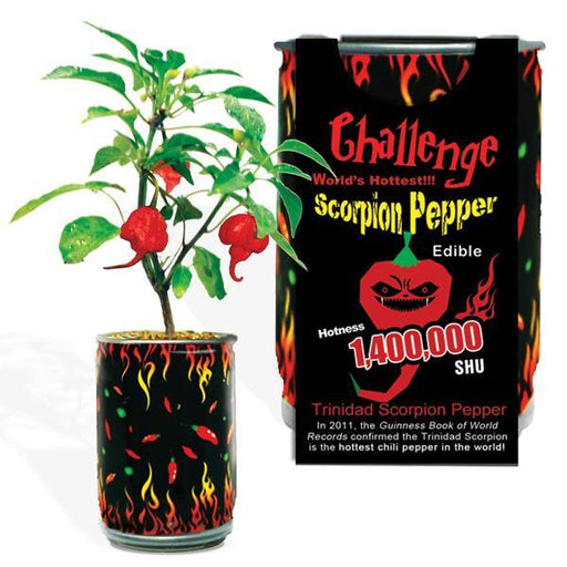 Trinidad Scorpion Pepper Growing Kit - Desert Gatherings