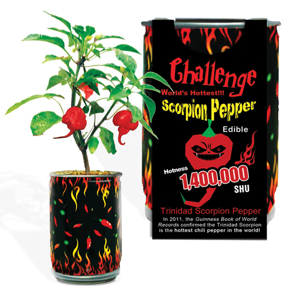 Trinidad Scorpion Pepper Growing Kit Wholesale - Desert Gatherings