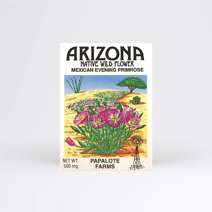 Arizona Mexican Evening Primrose Seed Packet - Desert Gatherings