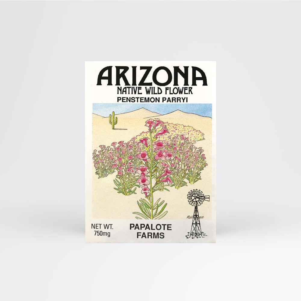 Arizona Penstemon Parryi Seed Packet Wholesale - Desert Gatherings