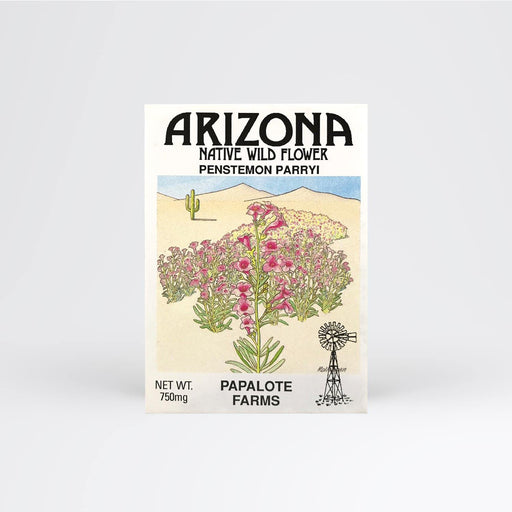 Arizona Penstemon Parryi Seed Packet Wholesale - Desert Gatherings