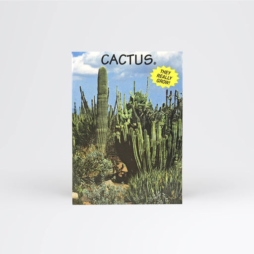 Cactus World Seed Packet Wholesale - Desert Gatherings
