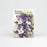 Colorado Columbine Seed Packet Wholesale - Desert Gatherings