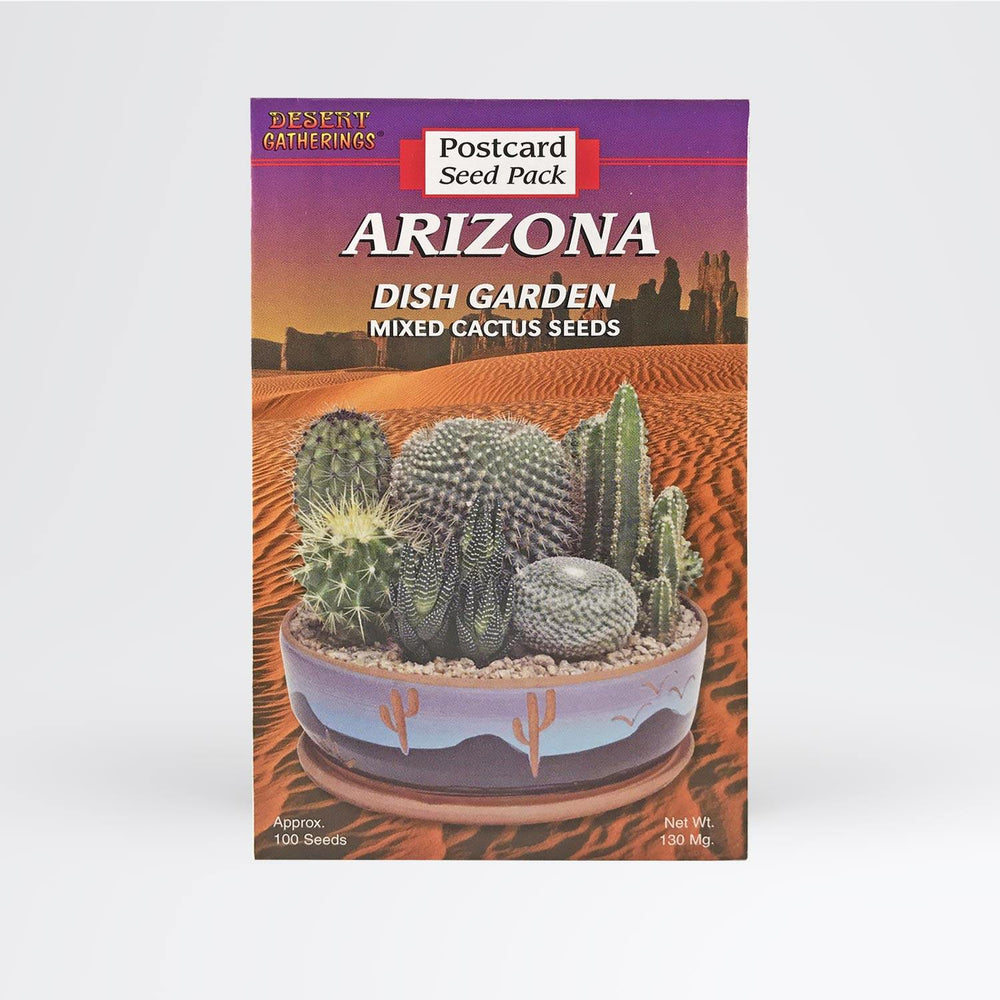 Mixed Cactus Dish Garden Postcard Wholesale - Desert Gatherings