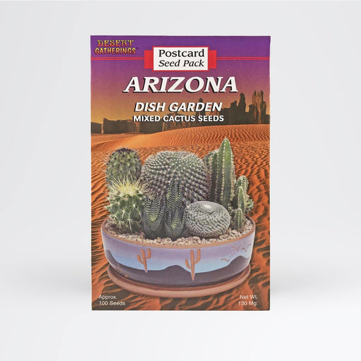 Mixed Cactus Dish Garden Postcard Wholesale - Desert Gatherings