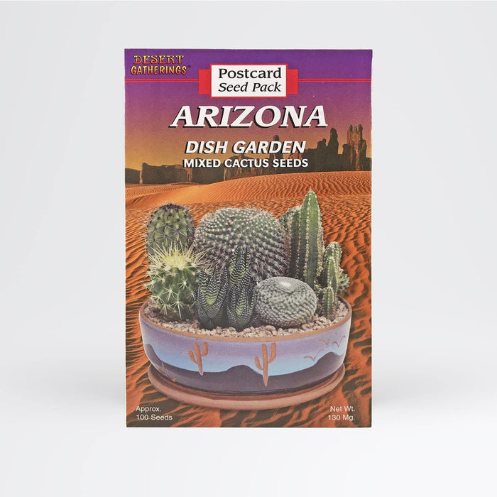 Mixed Cactus Dish Garden Postcard Wholesale - Desert Gatherings