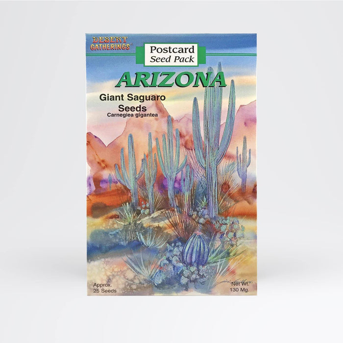 Giant Saguaro Postcard - Desert Gatherings