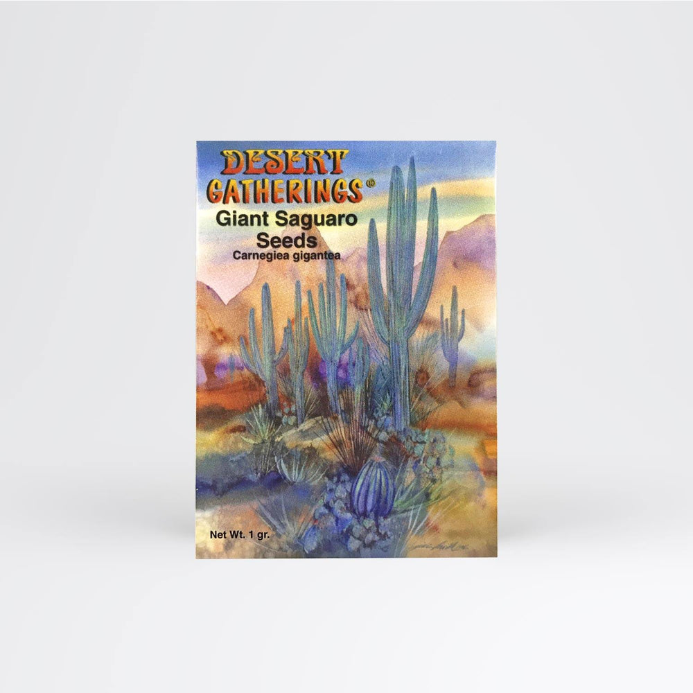 Giant Saguaro Seed Packet Wholesale - Desert Gatherings