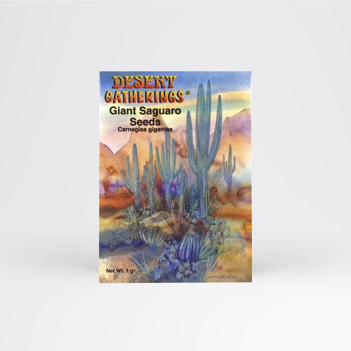 Giant Saguaro Seed Packet Wholesale - Desert Gatherings