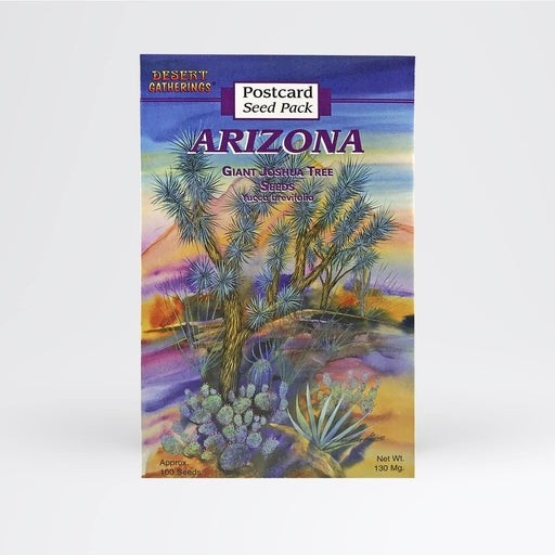 Joshua Tree Postcard Wholesale - Desert Gatherings