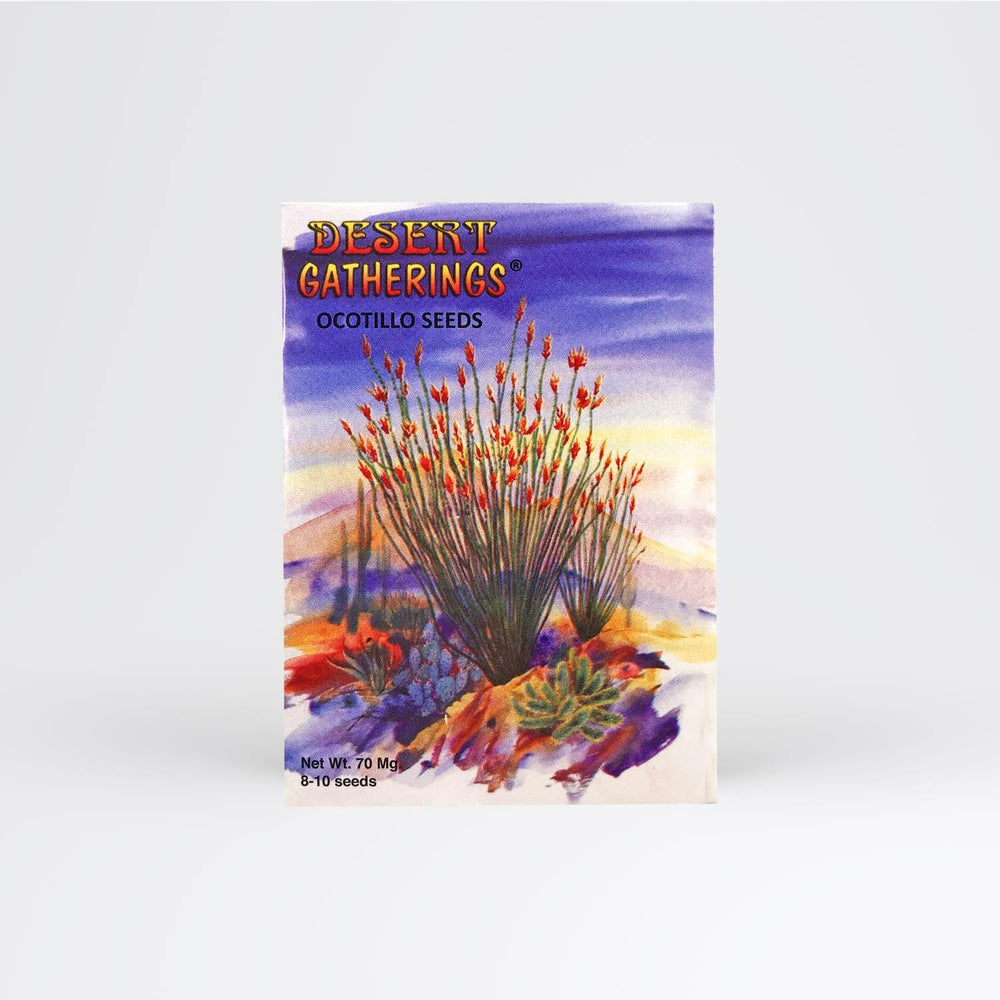 Ocotillo Seed Packet Wholesale - Desert Gatherings
