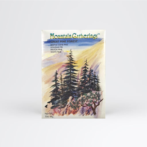 Pine Tree Forest Seed Packet - Desert Gatherings