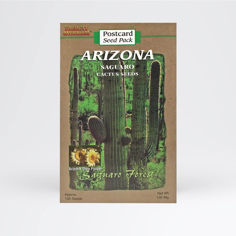 Saguaro Forest Postcard Wholesale - Desert Gatherings