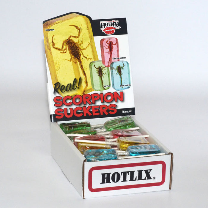 Scorpion Sucker Lollipops Wholesale - Desert Gatherings