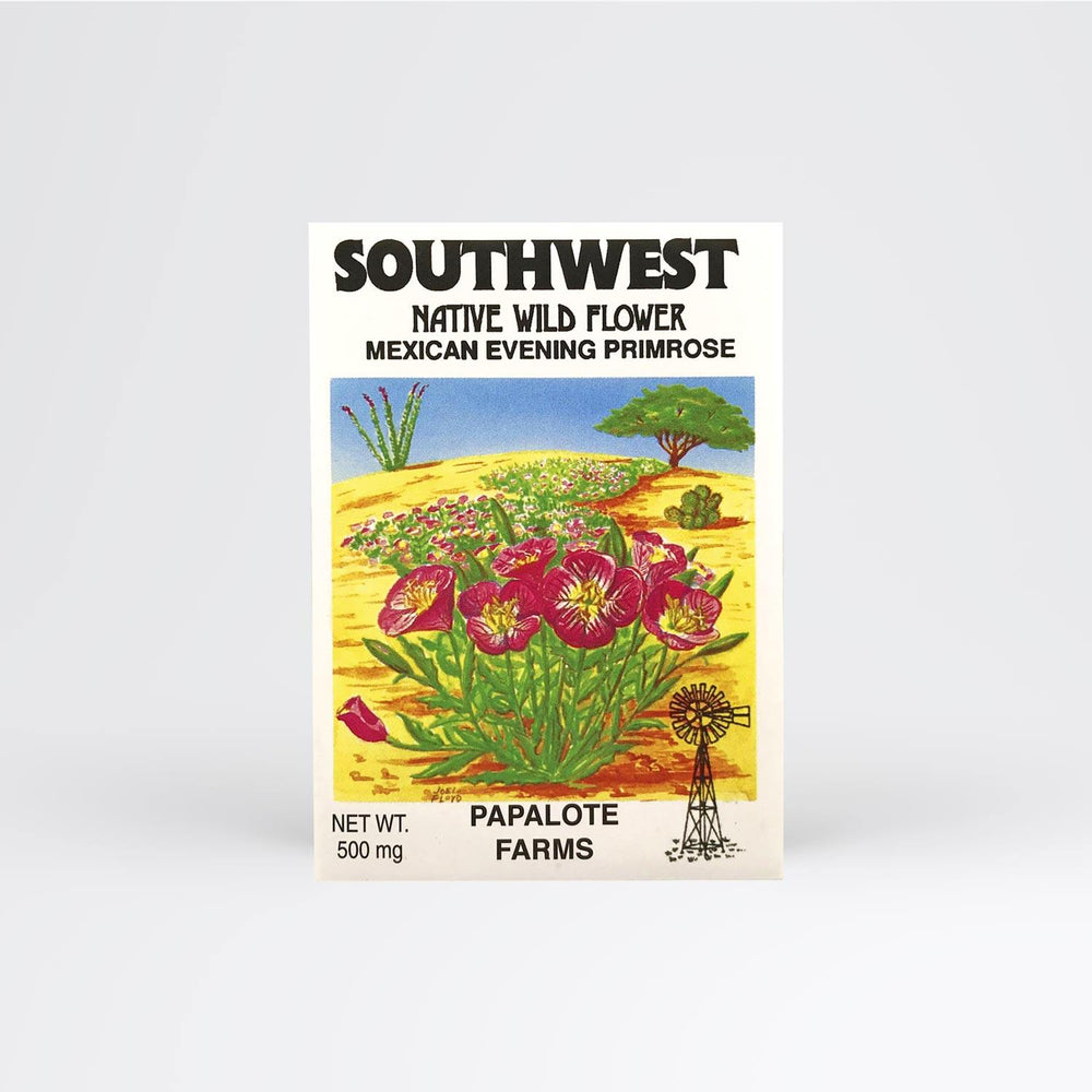 Southwest Mexican Evening Primrose Seed Packet Wholesale - Desert Gatherings