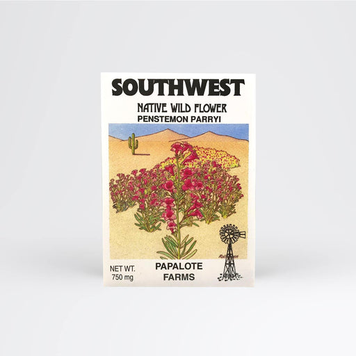 Southwest Penstemon Parryi Seed Packet Wholesale - Desert Gatherings