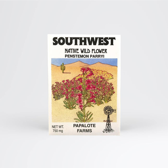 Southwest Penstemon Parryi Seed Packet Wholesale - Desert Gatherings