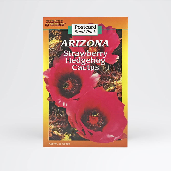 Strawberry Hedgehog Postcard Wholesale - Desert Gatherings