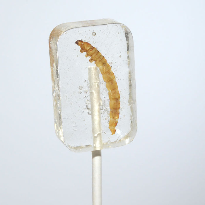 Tequila Worm Lollipops Wholesale - Desert Gatherings